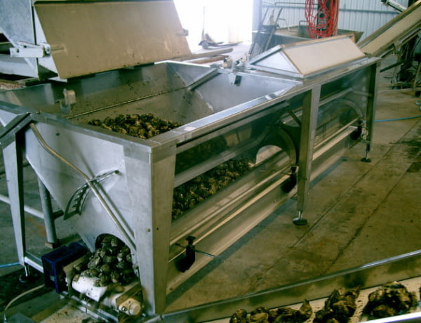 Equipment for Oysters