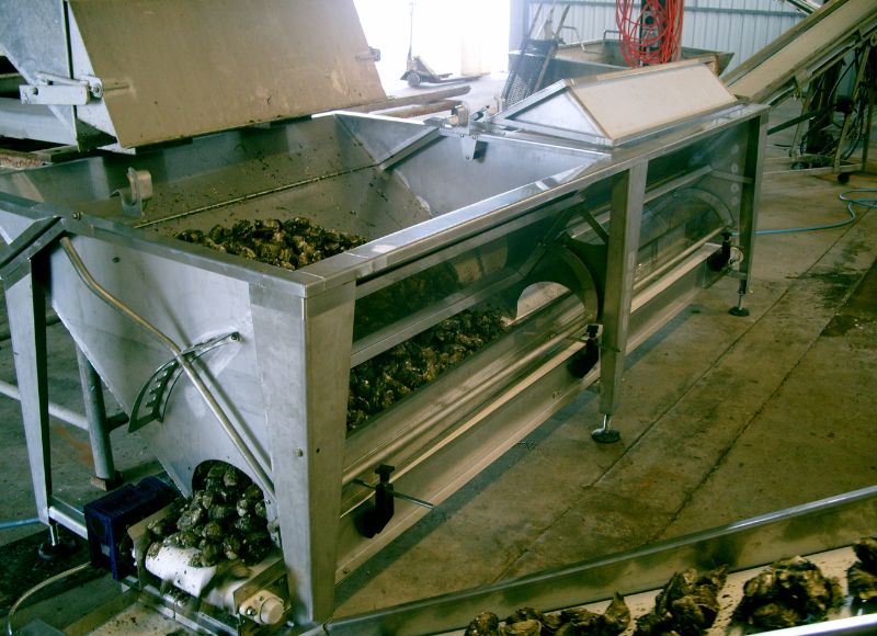 Bin machine for oysters